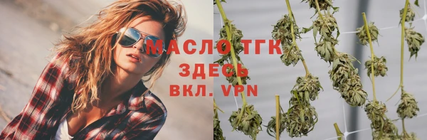 дживик Ельня