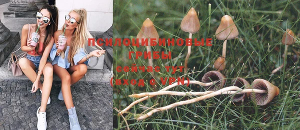 ГАЛЛЮЦИНОГЕННЫЕ ГРИБЫ Елизово