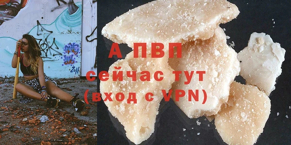 ГАЛЛЮЦИНОГЕННЫЕ ГРИБЫ Елизово