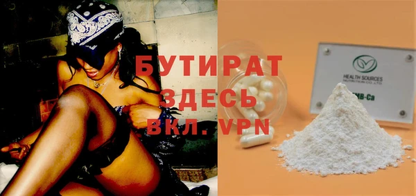 дживик Ельня