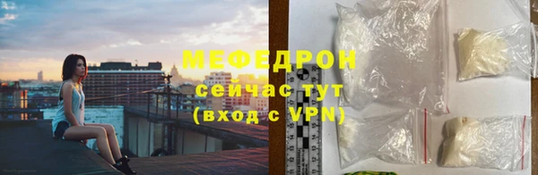 дживик Ельня