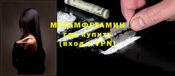дживик Ельня