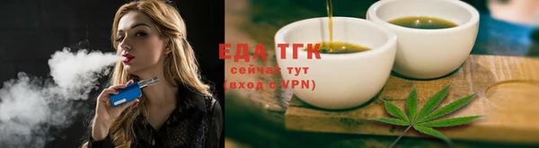 дживик Ельня