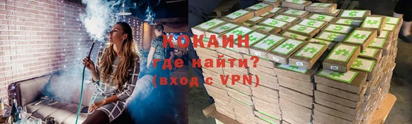 дживик Ельня