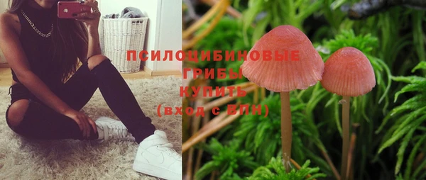 ГАЛЛЮЦИНОГЕННЫЕ ГРИБЫ Елизово