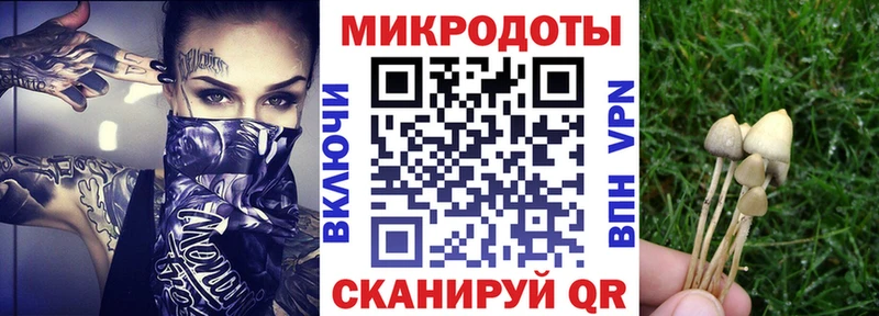 hydra ONION Себеж Псилоцибиновые грибы GOLDEN TEACHER хочу
