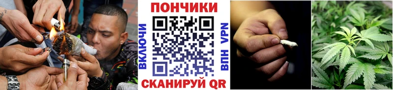 Бошки Шишки VHQ  OMG tor  Себеж 
